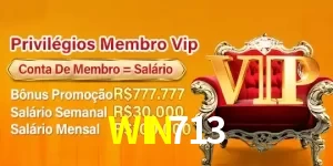 WIN713